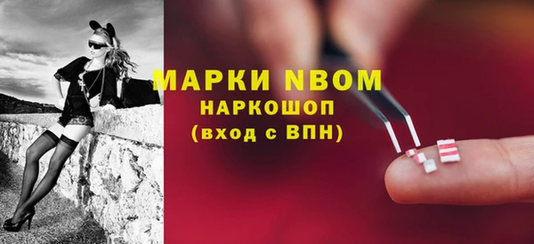 тгк Сатка