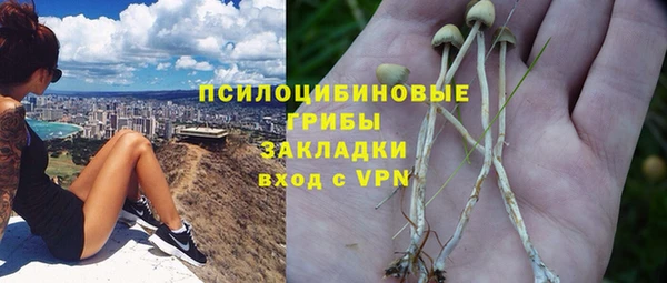 а пвп мука Белокуриха