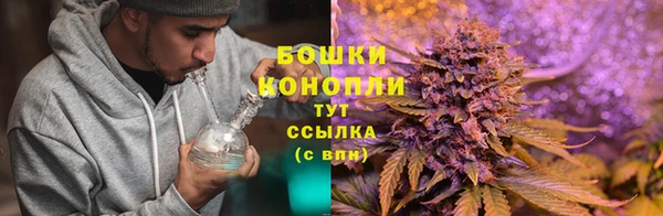 а пвп мука Белокуриха