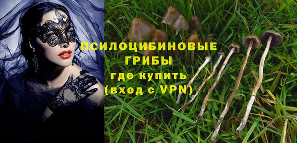 а пвп мука Белокуриха